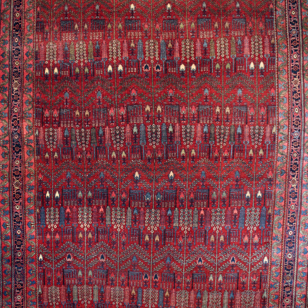 Antique Bidjar